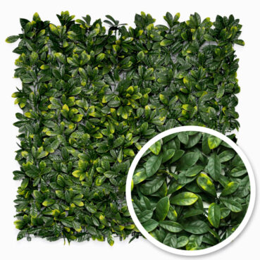 brise-vue-laurier-cerise-yards-gazon-synthetique