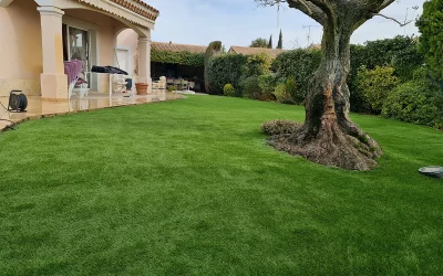 Pose pelouse artificielle – Avignon,  Vaucluse