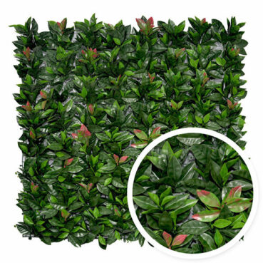 mur-vegetal-photinia-yards-gazon-synthetique