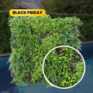 Mur Végétal Hémisphère