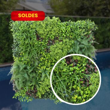 Mur Végétal Hémisphère