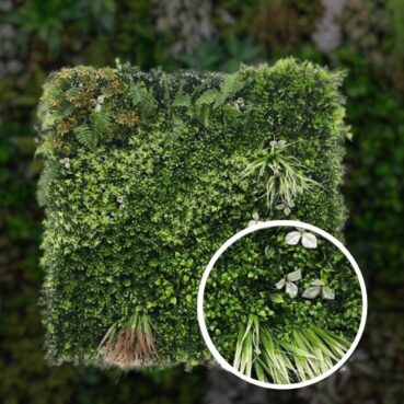 Mur Végétal Jungle