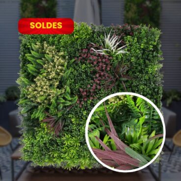 Mur Végétal Oasis