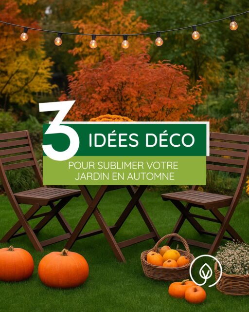 🍁 3 idées DÉCO automnales pour vos extérieurs
Avec @yardsgazonsynthetique, vos espaces restent accueillants même en automne 🌿

Parfaits pour petit espace, balcon, terrasse ou jardin, voici 3 idées d’aménagement extérieur faciles à adopter !

💬 Laquelle vous inspire le plus pour cet automne ? Dites-le-nous en commentaire 👇
———————
YARDS Gazon synthétique
L’élégance au service de votre jardin

#yardsgazonsynthetique #DécoExtérieure #GazonSynthétique #JardinDesign #IdéeDéco #automne #avignon #decorationinterieur