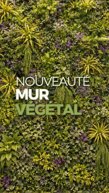 👀 VOS MURS N'ONT QU'À BIEN SE TENIR
Une nouvelle référence arrive… et elle ne passe pas inaperçue.
Texture, relief, rendu premium : Yellow Stone arrive chez @yardsgazonsynthetique.

Vous voulez être parmi les premiers à découvrir ce mur végétal ?
Rendez-vous sur le site ou en showroom à Avignon.

📞 09 83 51 11 98
🔗 yards.fr (lien en bio)
———————
YARDS Gazon synthétique
L’élégance au service de votre jardin

#MurVegetal #DecoExterieur #AmenagementTerrasse #Yards