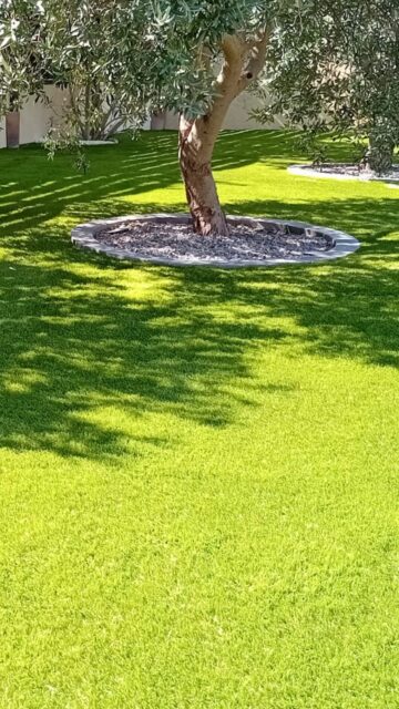 🌿 AVANT / APRÈS - Montfavet (Avignon - Vaucluse)
À Montfavet, près d’Avignon, ce jardin minéral a laissé place à un extérieur plus doux, harmonieux et agréable à vivre au quotidien.

Un résultat pensé pour le climat du Vaucluse :
✔ confortable
✔ durable
✔ et surtout… facile à vivre toute l’année
👀 Ce type de transformation à Montfavet, près d’Avignon,vous l’imaginez chez vous ?

💬 Un projet dans le Vaucluse ? On en parle
📞 09 83 51 11 98
———————
YARDS Gazon Synthétique
Avignon & Vaucluse

#Montfavet #Vaucluse #GazonSynthetique #AmenagementExterieur #AvantApres