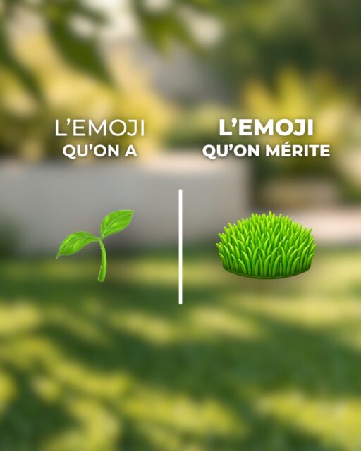 😎 LES EMOJIS QU’ON A VS CEUX QU’ON MÉRITE
Parce qu’entre nous… l’emoji 🌱 ne suffit pas à représenter nos gazons synthétiques premium.

Un emoji gazon synthétique, une brosse électrique, un pack d’échantillons… bref, les vrais héros de vos extérieurs.

@apple, si vous nous lisez : on a deux ou trois idées à vous souffler 😎

Et vous, quel emoji manque le plus à votre clavier ? 👇
———————
@yardsgazonsynthetique
L’élégance au service de votre jardin

#GazonSynthétique #PelouseArtificielle #Emoji #Humour #Yards