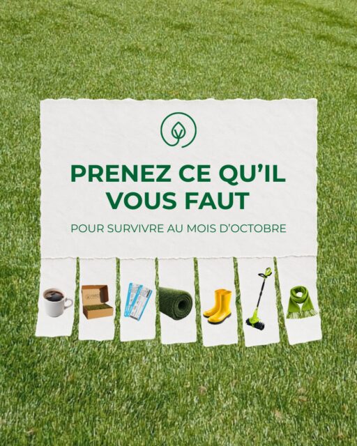 😬 OCTOBRE EN MODE SURVIE

Un billet d’avion pour fuir sous les tropiques ? Tentant.
Un bon café pour survivre aux variations de température ? Nécessaire.
Un gazon synthétique premium et de qualité pour garder un extérieur canon malgré l’automne ? Très bonne idée. 😅🌿

Extérieur cocooning et coin cosy : octobre peut débarquer, votre projet a déjà son plan d’attaque.

👉 Retrouvez nos produits sur yards.fr (lien en bio)
———————
@yardsgazonsynthetique 
L’élégance au service de votre jardin

 #gazonsynthétique #pelouseartificielle #automne #octobre #yards