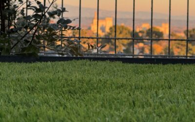 Pose gazon synthétique Villeneuve-lès-Avignon, Gard