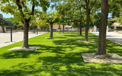 Pose pelouse artificielle école – Laudun, Gard