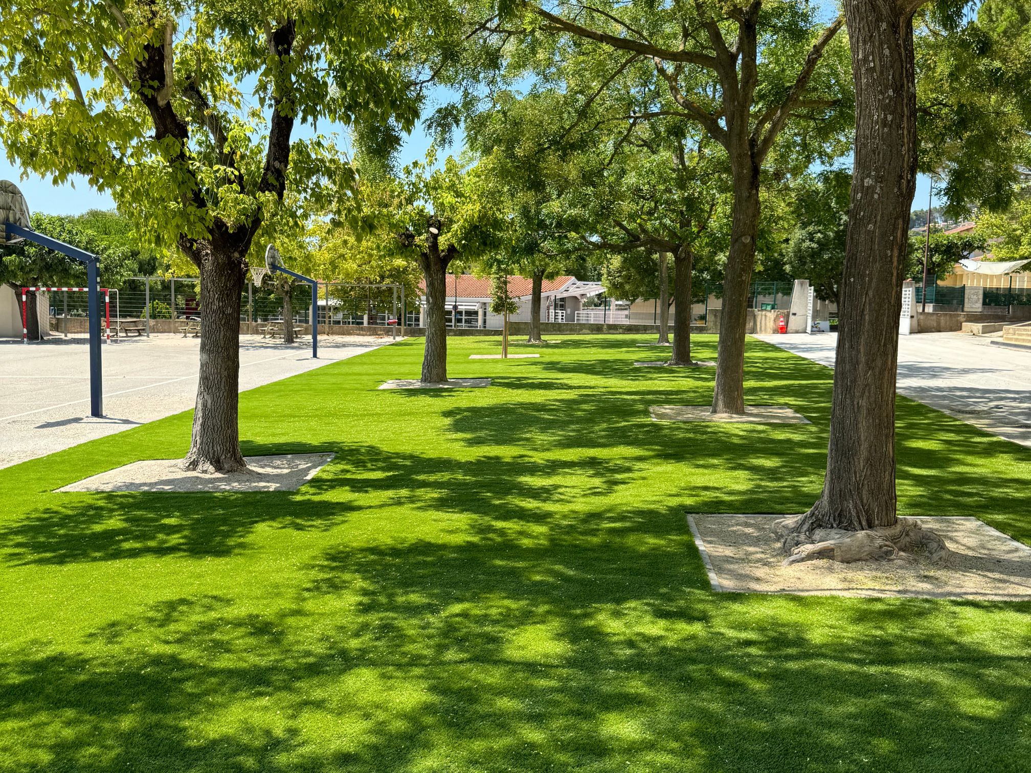 pose-pelouse-artificielle-ecole-laudun-gard-yards