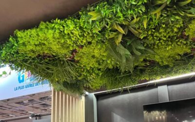 Mur végétal artificiel – Stand professionnel Augusto Pizza