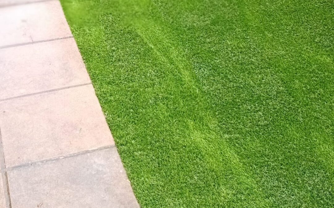 pose-pelouse-artificielle-rochefort-du-gard-gard-yards-2