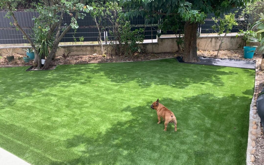 Chien sur une pelouse synthétique Overswing 40mm dans un jardin à Sauveterre